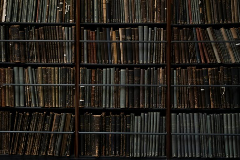 A shelf of old leather-bound books in dim light