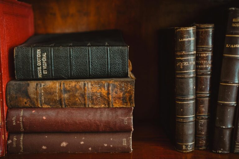 Leather-bound books on a library shelf