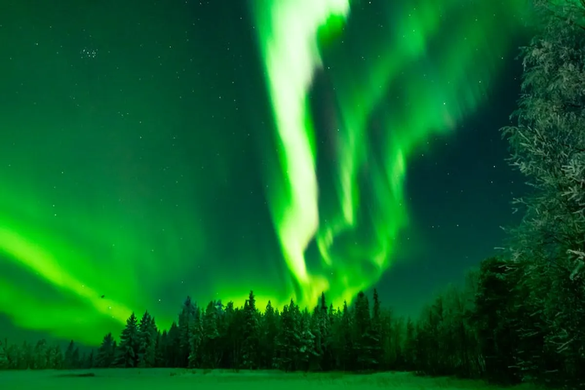 Bronwin Aurora Explained: Biography Searches, Reputation, and Digital Visibility: For Digital Publishers